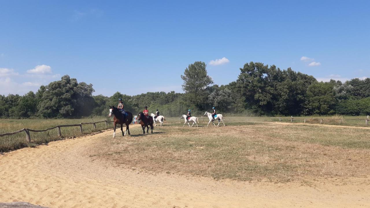הוילה Balatongyörök Szalakota Haz מראה חיצוני תמונה